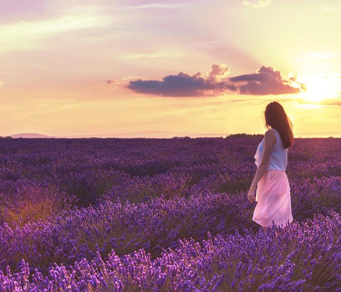 Tracey's Mastectomy Boutique